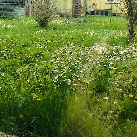 Ferienwohnung Feldmann Freckenfeld Zewnętrze zdjęcie
