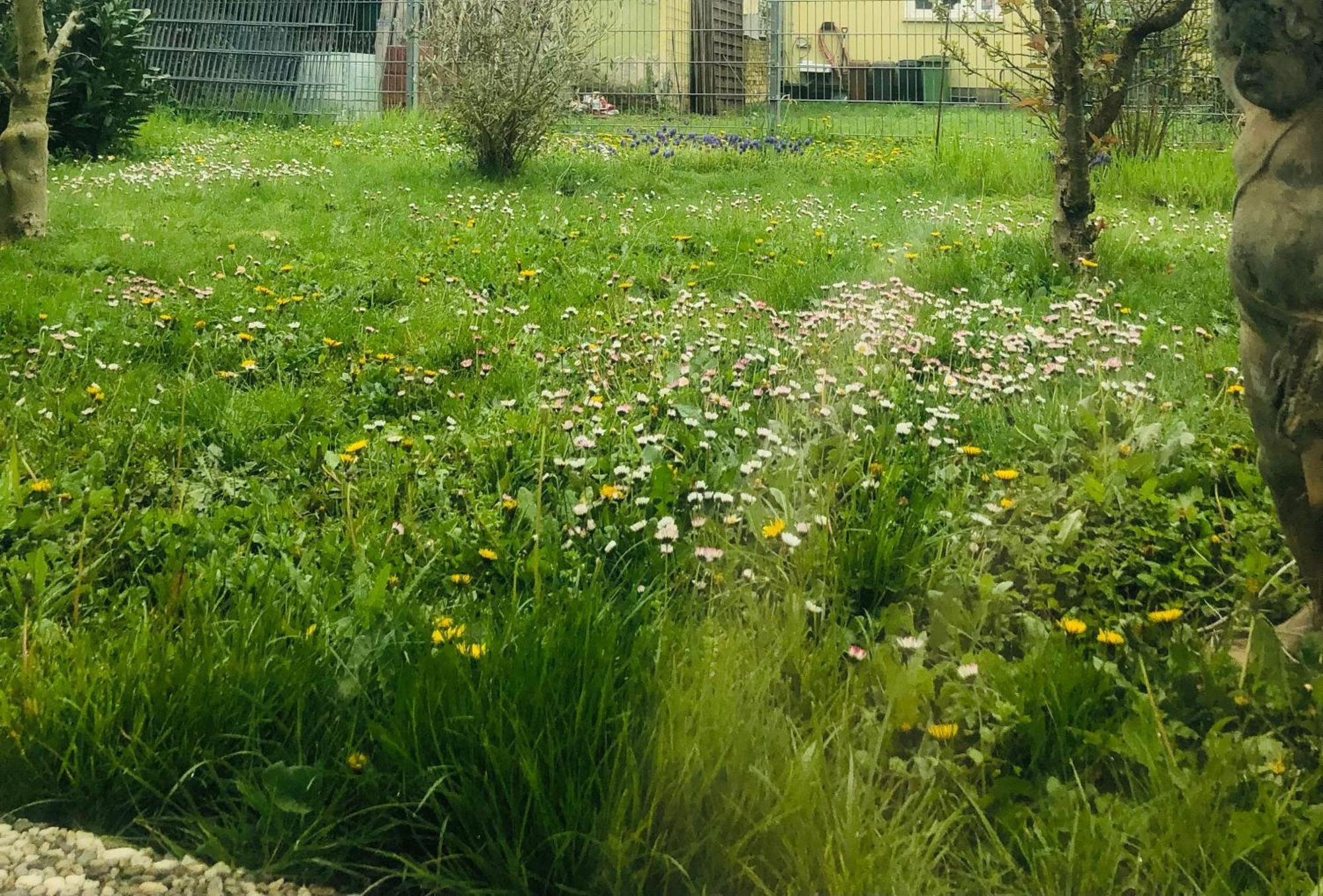 Ferienwohnung Feldmann Freckenfeld Zewnętrze zdjęcie