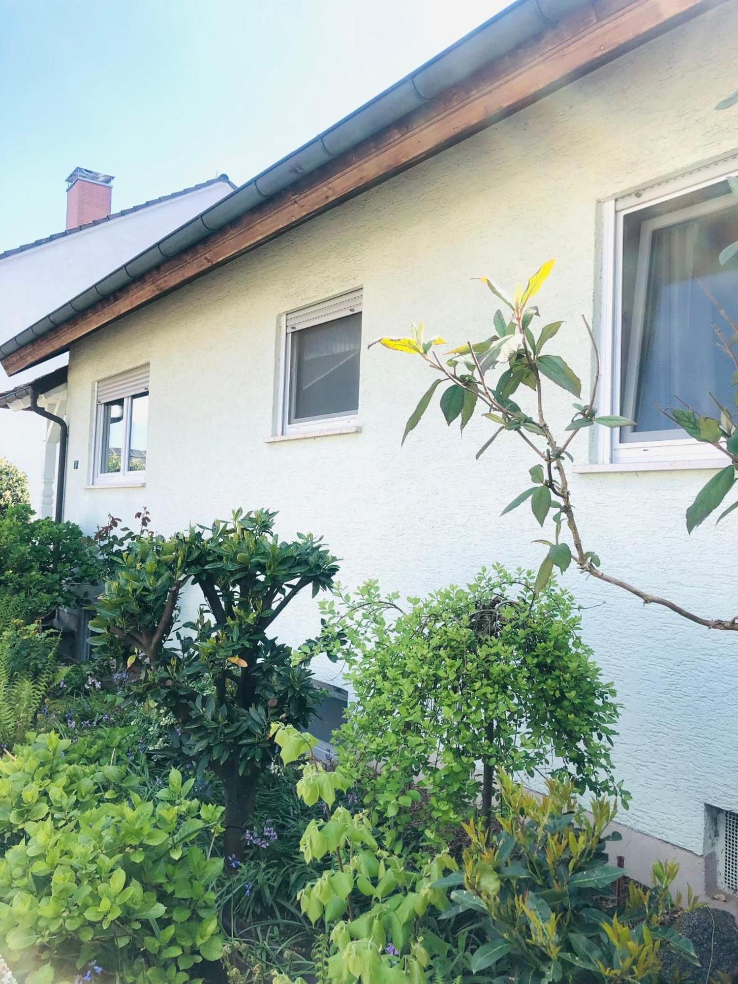 Ferienwohnung Feldmann Freckenfeld Zewnętrze zdjęcie